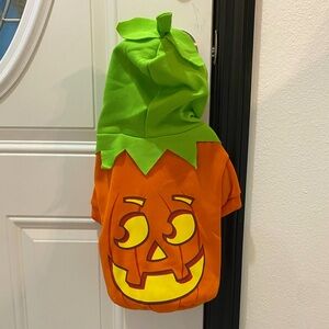 🎃Throw Me A Bone Pumpkin Pet Hoodie - Medium - NWT